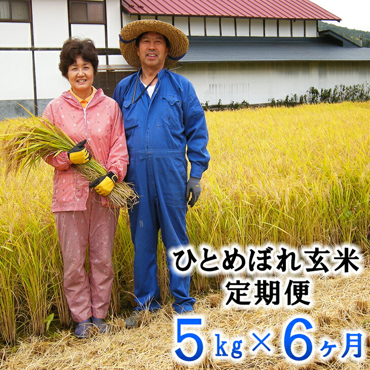 【ふるさと納税】新米 ひとめぼれ 【6ヶ月定期便】 玄米 減農薬栽培 5kg 令和7年産 新米 お米 ふるさと納税 米 定期便