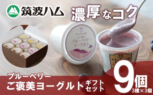 【筑波ハム】ブルーベリー ご褒美ヨーグルトギフトセット【 筑波ハム ヨーグルト クリームチーズ チーズ ブルーベリー ご褒美 乳 腸活 美容 健康 ギフト 贈答 茨城県産 国産 つくば市 】