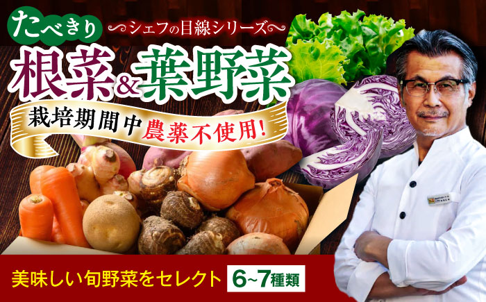 【シェフの目線】　根菜×葉野菜 6から7種　単身・二人暮らし用セット　愛媛県大洲市/有限会社ヒロファミリーフーズ 野菜 果物 やさい 少量セット 食べきり [AGBX051]