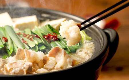 【定期便4か月】 もつ鍋 8人前×4回 ホルモン うどん モツ鍋