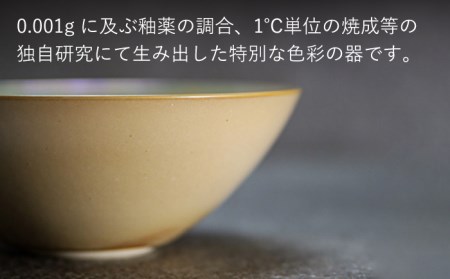 【美濃焼】bowl -albus- M【陶芸家・宮下将太】食器 鉢 ボウル 副菜鉢 サラダボウル デザートボウル シンプル おしゃれ 陶芸家 芸術 インテリア ギフト プレゼント 贈り物 レンジ対応 