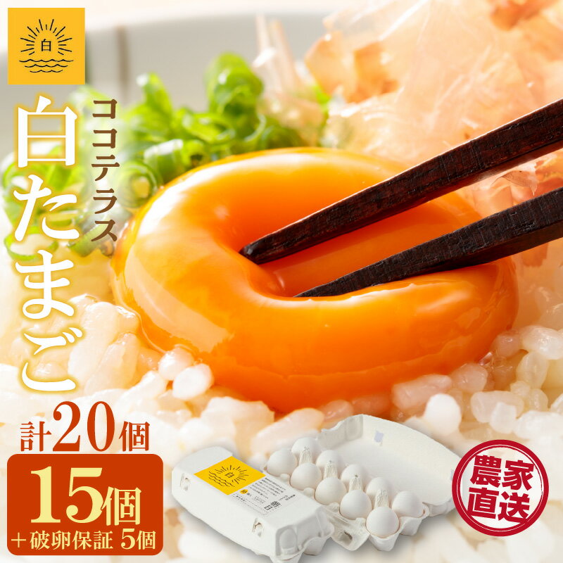 【ふるさと納税】ココテラスの朝日（ 白たまご ）15個 + 5個保証【計20個】【 JGAP認証 】農家直送 新鮮 卵 純植物性飼料 飼料にこだわった 卵かけご飯 米たまご 大容量 卵 送料無料