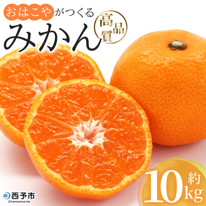 ＜おはこやがつくる 高品質みかん 約10kg（S～Lサイズ）＞ 果物 くだもの フルーツ 柑橘 みかん ミカン 蜜柑 まろやか 絶妙 特産品 西宇和 愛媛県 西予市