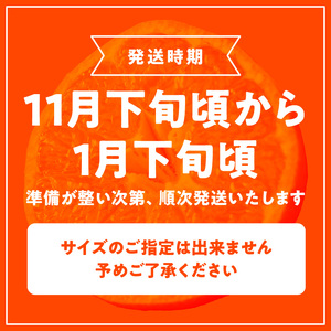 G7339_【2025年 先行予約】高級ブランド 秀品 紀州有田田村産みかん 3kg