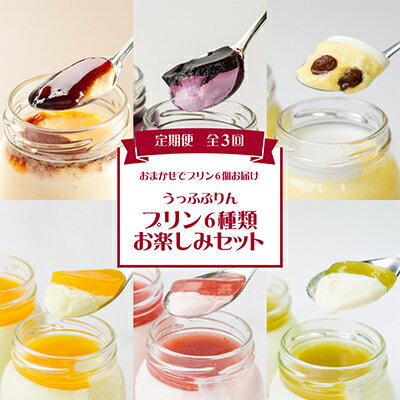 【ふるさと納税】【発送月固定定期便】うっふぷりんのプリン6種類お楽しみセット全3回【配送不可地域：離島】【4011325】