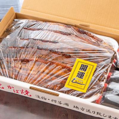 ふるさと納税 西都市 藤うなぎ　かば焼き　5尾　国産うなぎ 宮崎 蒲焼 鰻[3223] |  | 01