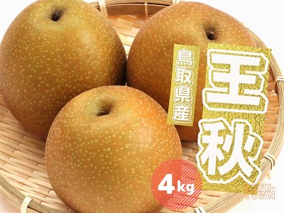 王秋 梨4kg 4～13玉前後 鳥取県産 先行予約受付 2025年秋冬収穫分 なし 4キロ TM40 0695