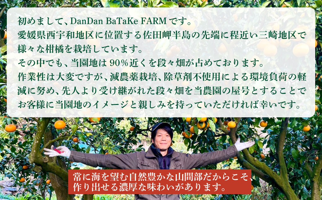 【訳あり】不知火 約5kg IKTAU016