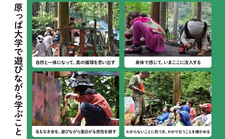 原っぱ大学 割引チケット 30000円分 体験 チケット フィールドワーク レジャー お出かけ スポット 親子体験 リフレッシュ デジタルデトックス リトリート 山 海神奈川県 逗子市