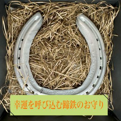 ふるさと納税 府中市 FUCHU　LUCKY　HORSESHOE(蹄鉄) |  | 01