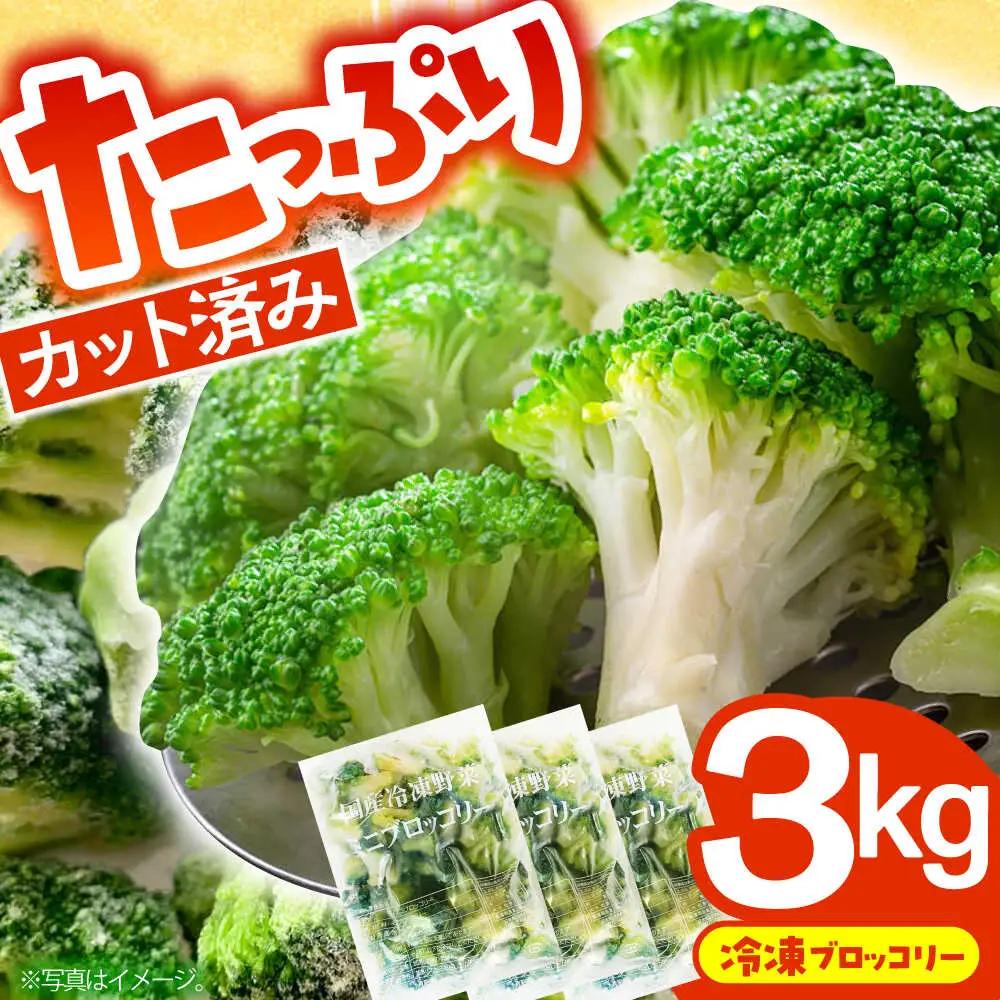 冷凍ブロッコリー 3kg 池田海陸物産 [SEW007] ブロッコリー