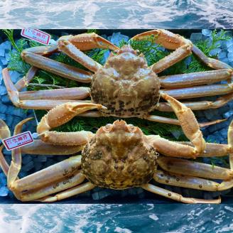 【活き】タグ付き松葉ガニ　大２枚(１枚800～940ｇ前後) 【配送日時指定可】[225-WK1]