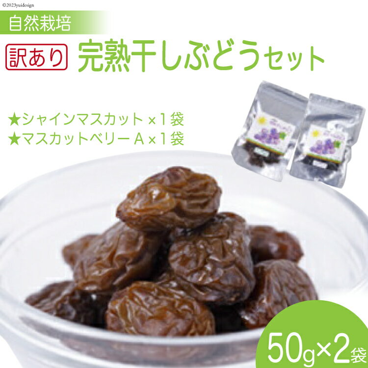 【ふるさと納税】 訳あり 自然栽培 完熟干しぶどう ミックスセット (50g×2袋) [砂山ぶどう園 石川県 宝達志水町 38600642] ぶどう ブドウ 葡萄 干しブドウ 干し葡萄 数量限定 限定