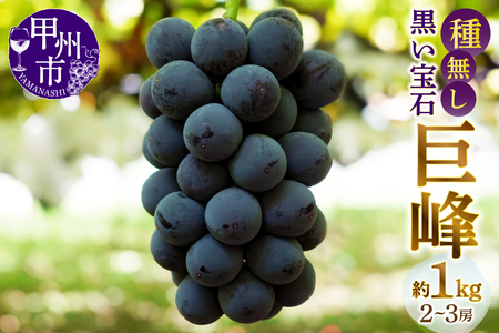 甲州市産種無し巨峰 約1kg（2房～3房）【2026年発送】（MG）B-499 巨峰 フルーツ