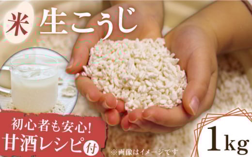 熊本県産  米 生こうじ 1kg【有限会社 木屋食品工業】米麹 発酵 甘酒 塩こうじ 塩麹 酵素  [ZAD018]