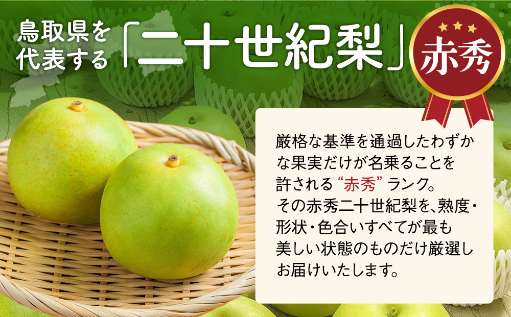 東商果樹園 二十世紀梨 (赤秀) 5kg【8月下旬以降お届け】