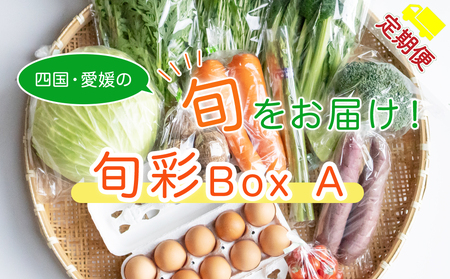 【定期便/3ヶ月お届け】たべとうみんの旬菜ボックス