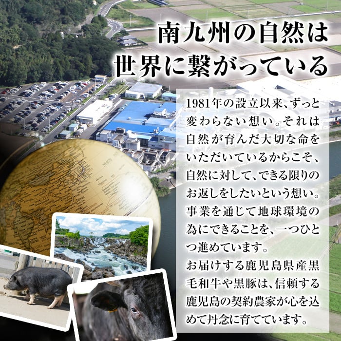 isa574 ＜訳あり＞九州産和牛ロース大判焼肉(合計1kg・3枚〜4枚) 4等級以上【サンキョーミート株式会社】