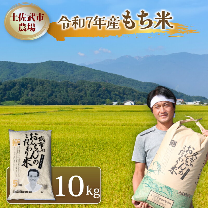 【ふるさと納税】 もち米 餅米 もちごめ 令和7年度 10キロ 数量限定 白米 高知県 南国市
