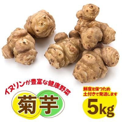 ふるさと納税 城里町 菊芋(きくいも)健康野菜5kg