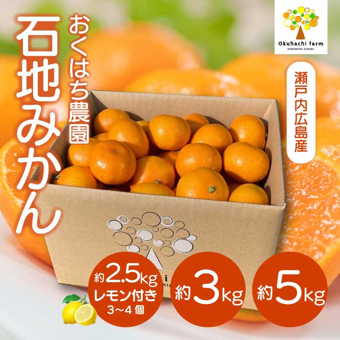 【ふるさと納税】石地みかん 2.5kg/3kg/5kg レモン付き 選べる容量《2026年12月発送予定》栽培期間中 防腐剤 ワックス 不使用 おくはち農園 旬 柑橘 かんきつ フルーツ 果物 瀬戸内 166003-r