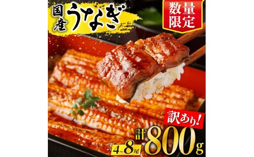 【訳あり】 有頭 鹿児島県産長蒲焼　規格外品（4尾～8尾）　800ｇ