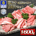 【ふるさと納税】【3D冷凍】宮崎牛 6部位 食べ比べ 焼肉セット【最新の3D冷凍技術】【急速冷凍】【今まで以上に美味しいお肉をお届け】【肩ロース バラ モモ ウデ ロース ヒレ】【合計6種類】