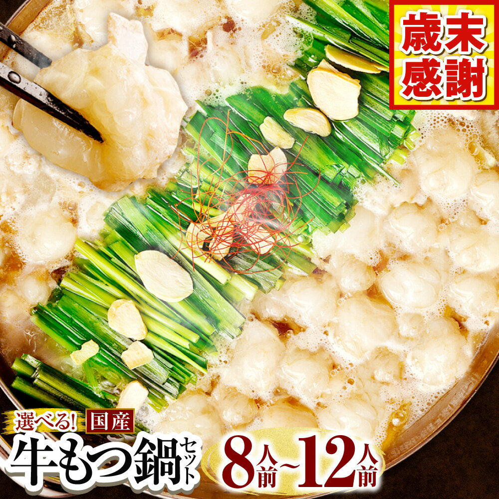 国産牛もつ鍋セット10人前／国産牛もつ鍋＋水炊きセット 計10人前 たっぷり 大容量