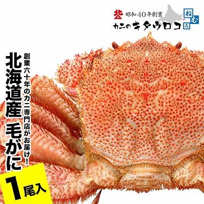 ふるさと納税 根室市 毛がに550g〜650g前後×1尾 B-25027