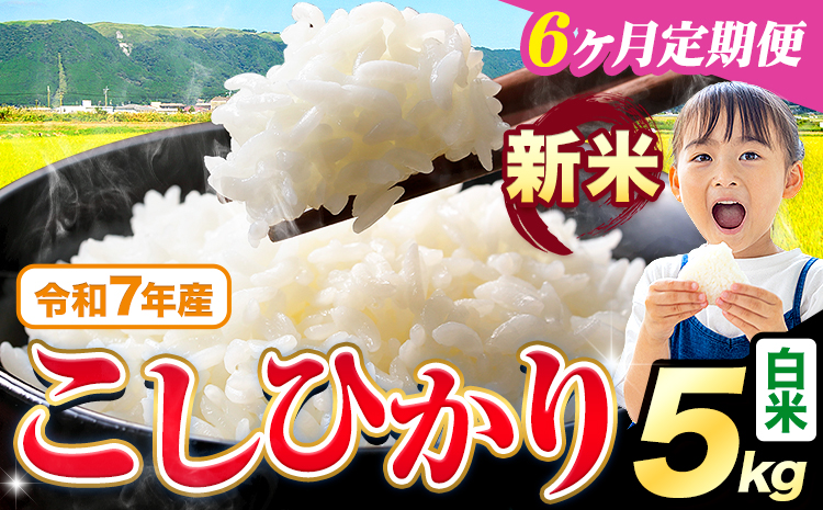 【6ヶ月定期便】令和7年産 新米 白米 こしひかり 5kg《お申込み翌月から出荷》熊本県産 ふるさと納税 白米 精米 ひの 米 こめ ふるさとのうぜい コシヒカリ コメ お米 おこめ---reihoku_loc_324_mo6---