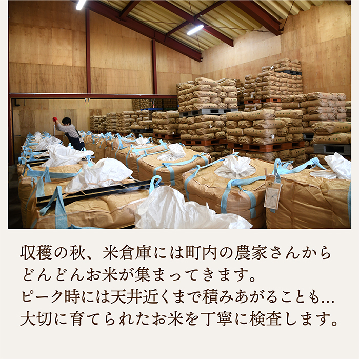 【令和7年産】山形県産はえぬき10kg(5kg×2) 