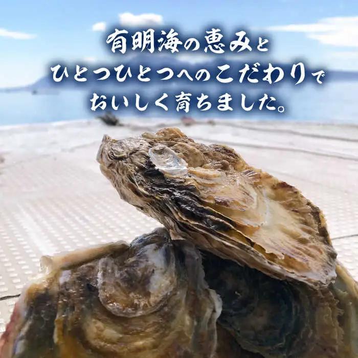 【2027年1月以降発送】竹崎産 ブランド生牡蠣「ゆり姫」5kg（ナイフ付き） / 牡蠣 / 佐賀県 / 宗徳丸 [41ATAF004]
