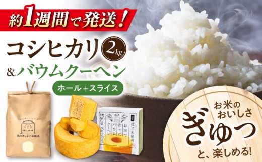 【スピード発送】米 近江米 コシヒカリ2kg バウムクーヘン1ホールとスライスセット  長浜市/阿辻農園[AQAW004] こしひかり 米 お米 白米 バームクーヘン 米粉 近江米 滋賀県産 魚のゆりかご水田 長浜市産 こめ 玄米 白米 精米 お米  食品 ふるさと納税 国産 炊きたて 米ギフト もちもち ブランド米  食卓 美味しい 人気 ごはん ご飯 おにぎり おすすめ プレゼント 贈答