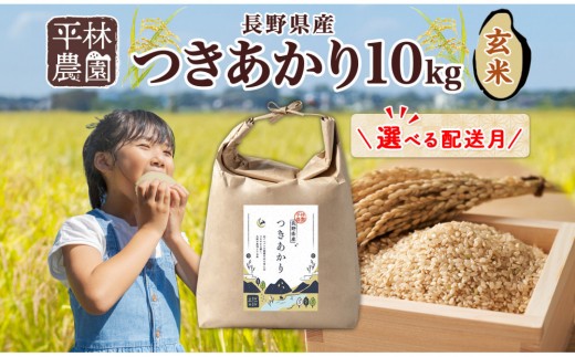 
                  【選べる配送月】令和8年産 つきあかり 玄米 10kg×1袋 長野県産 米 精米 お米 ごはん ライス 甘み 農家直送 産直 信州 人気 ギフト お取り寄せ 平林農園 送料無料 長野県 大町市
                
