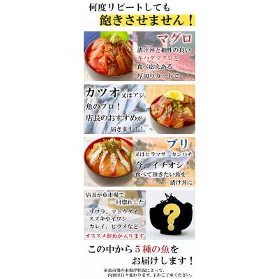 ふるさと納税 宇部市 【詰め合わせ】漬け丼 5種×2パック 計10食セット |  | 02
