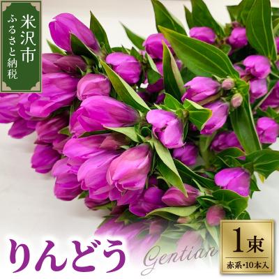 ふるさと納税 米沢市 【先行受付】 りんどう 赤系 1束 10本入り 切花   2026年8月上旬〜9月中旬お届け予定