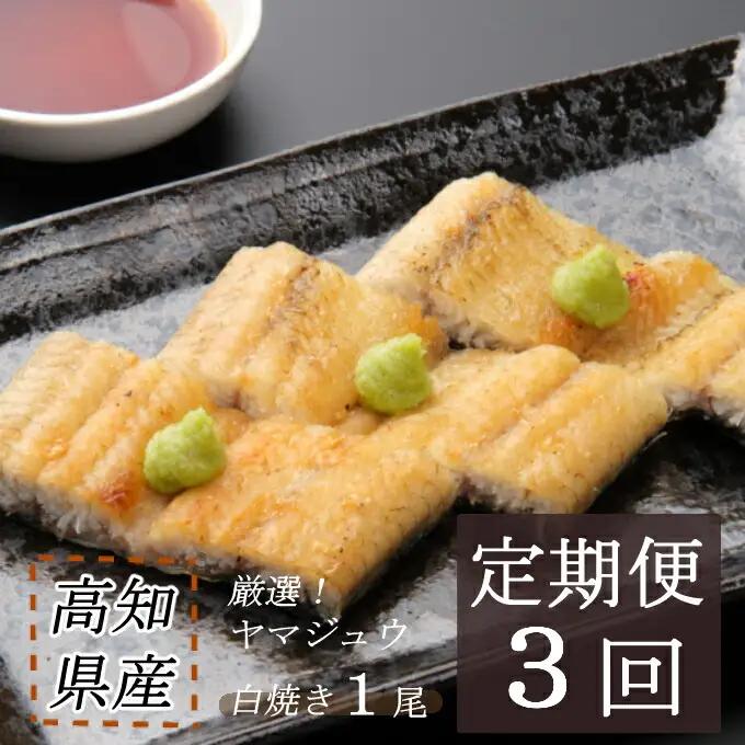 【3回定期便】手焼き 白焼きうなぎ1尾【国産 高知県産白焼きウナギ】