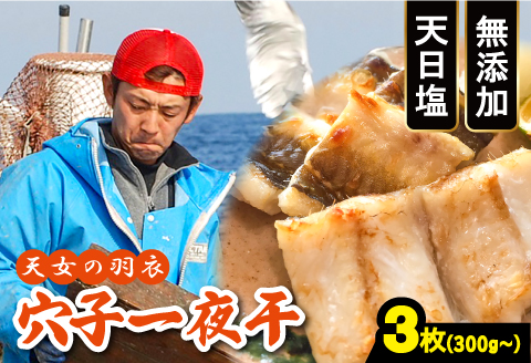 穴子 一夜干 3枚 300g以上【穴子 国産 合計300g以上 穴子干物 3枚 魚介類 魚 あなご アナゴ 干物 食べ切りサイズ 無添加 天日塩 新鮮 冷凍 真空パック 贈答 ギフト 父の日 母の日】