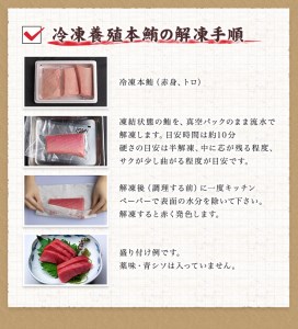 本マグロ（養殖）トロ＆赤身セット 500g 【11月発送】 高級 クロマグロ  中トロ 中とろ  まぐろ マグロ 鮪 刺身 赤身 柵 じゃばらまぐろ 本マグロ 本鮪【nks110D-11】