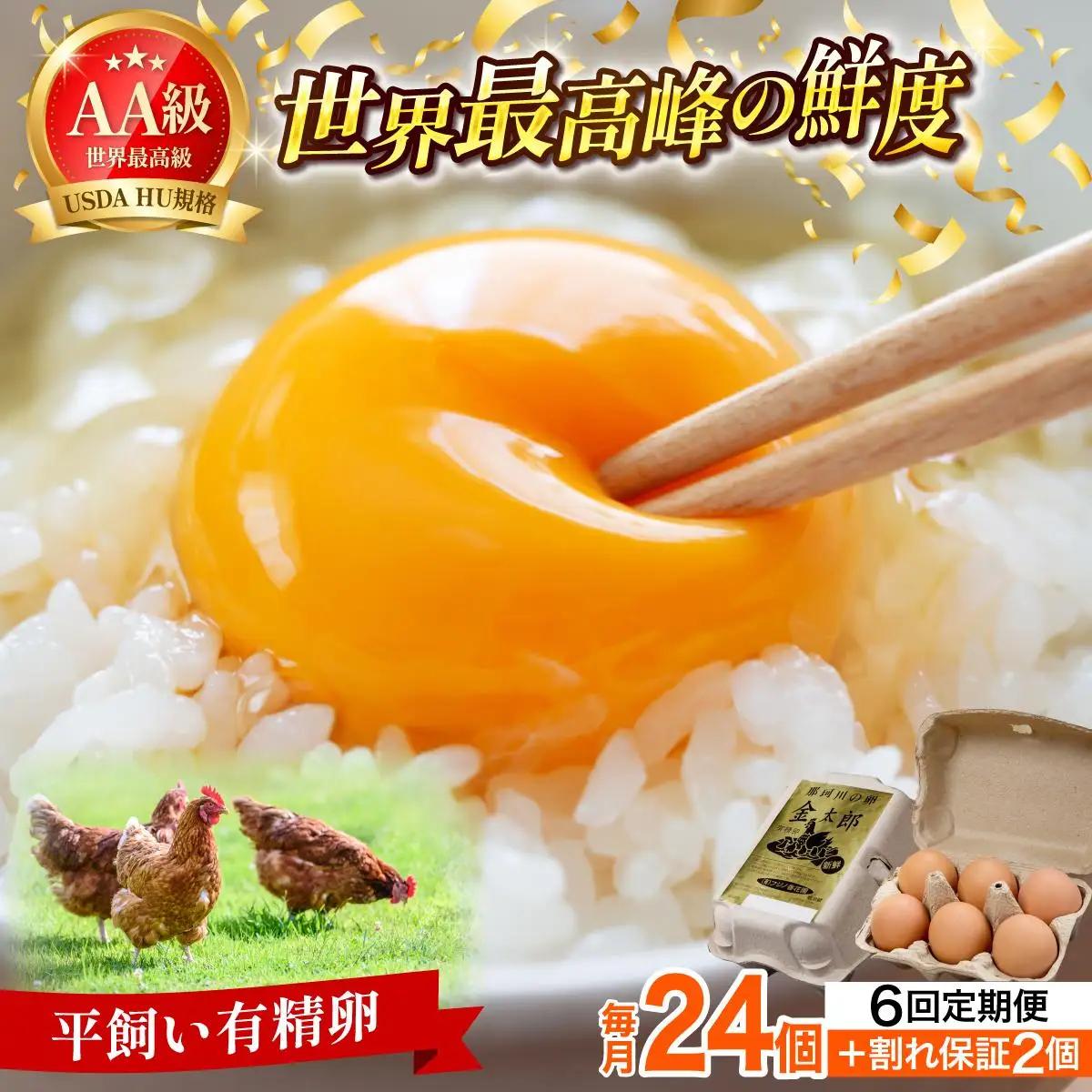 ＜定期便・全6回＞鮮度AA級の世界最高ランク！金太郎卵 平飼い たまご 24個（6個×4パック）