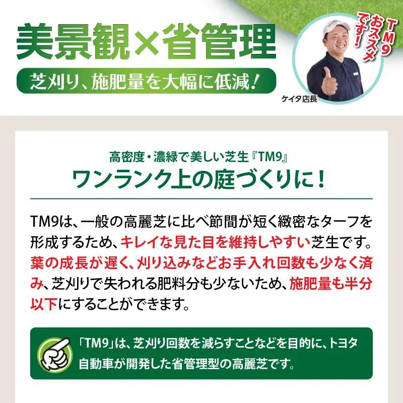 TM9（ティーエムナイン）省管理型 コウライシバ トヨタ自動車(株)開発品種 30平米 KN080-007-04 芝生 芝 庭