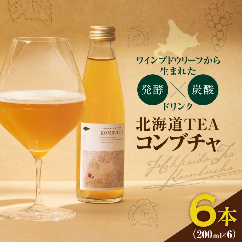 【ふるさと納税】余市町ワイナリー剪定ブドウ葉使用 HOKKAIDO TEA KOMBUCHA 発酵炭酸飲料 200ml×6本 ノンカフェイン 余市町4大ワイナリーコラボ ワインブドウリーフ発酵 コンブチャ 北海道TEAコンブチャ 発酵飲料 ワイナリー ブドウ葉 発酵炭酸飲料 送料無料 余市町 北海道
