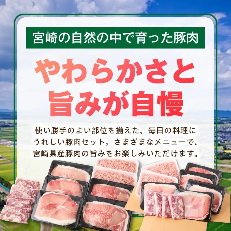 宮崎県産豚4.5kg 満載Aセット
