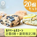 【ふるさと納税】焼菓子 生クリームスコーン 20個 セット 福岡県産小麦と生クリーム使用 conne お菓子 おやつ ご自宅用 訳あり ※配送不可：沖縄、離島　【小郡市】