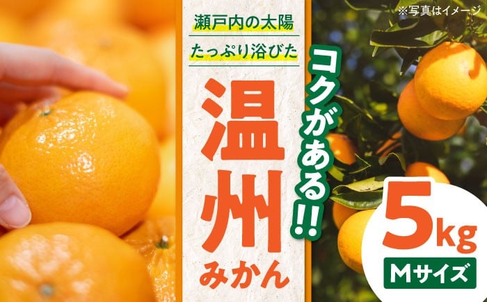 
            【先行予約】【11月下旬から順次発送】 温州みかん（南柑20号） 5kg 愛媛県大洲市/永沼農園 [AGAW001] みかん 5kg みかんジュース 愛媛 みかん 愛媛みかん 大洲市産みかん 果物 くだもの フルーツ
          
