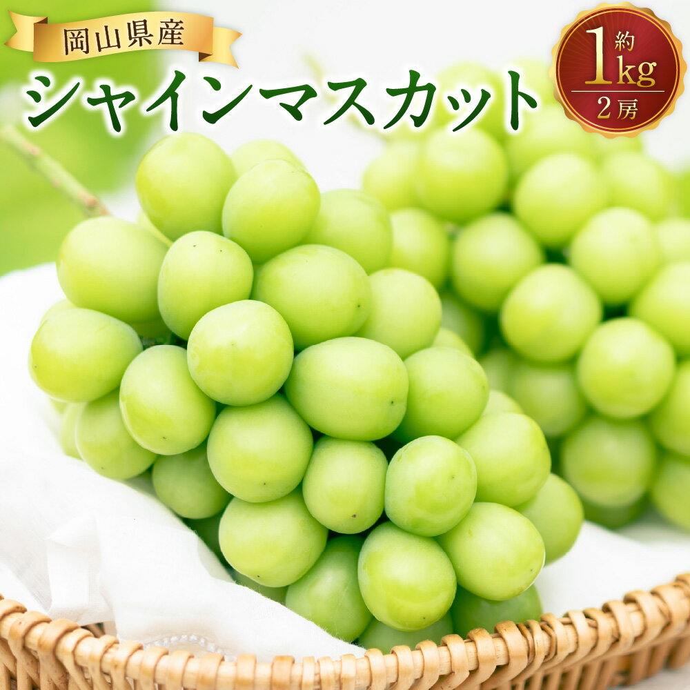 【ふるさと納税】シャインマスカット 2房（1kg以上） マスカット ぶどう ブドウ 葡萄 くだもの 果物 果実 フルーツ 冷蔵 岡山県産 国産 岡山県 美咲町 送料無料 【2026年8月下旬から10月上旬頃発送予定】