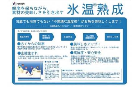 〈山陰大松〉氷温熟成　煮魚・焼魚ギフトセット10切　IN-100【米子市魚貝類部門No.1 】