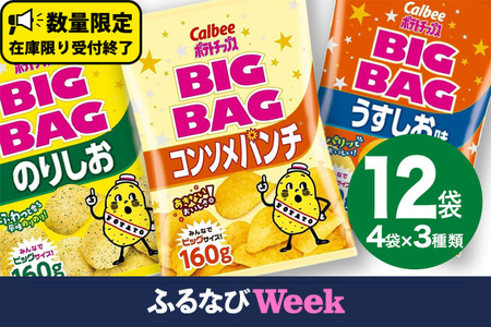 【ふるなびWEEK対象】【12/21入金確認分まで年内お届け】カルビー ポテトチップス BIGBAG 160g 3種 各4袋セット (計 12袋 ) うすしお ・ のりしお ・ コンソメパンチ FN-Limited-PR