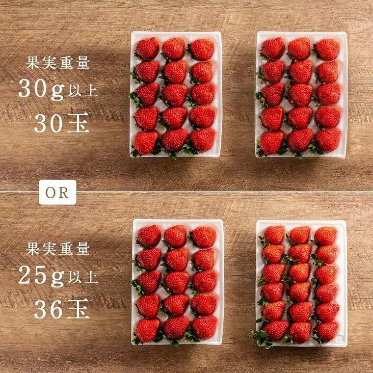 【2027年発送】完熟 あまおう 3Lサイズ 900g | あまおう 産直