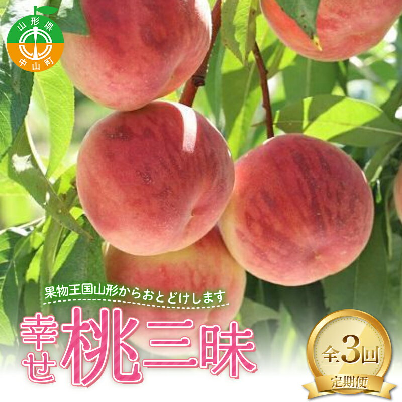 【ふるさと納税】2026年先行予約 【定期便 3回】幸せ♪桃三昧 白桃 黄桃 果物 フルーツ 山形県 中山町 F4A-0444